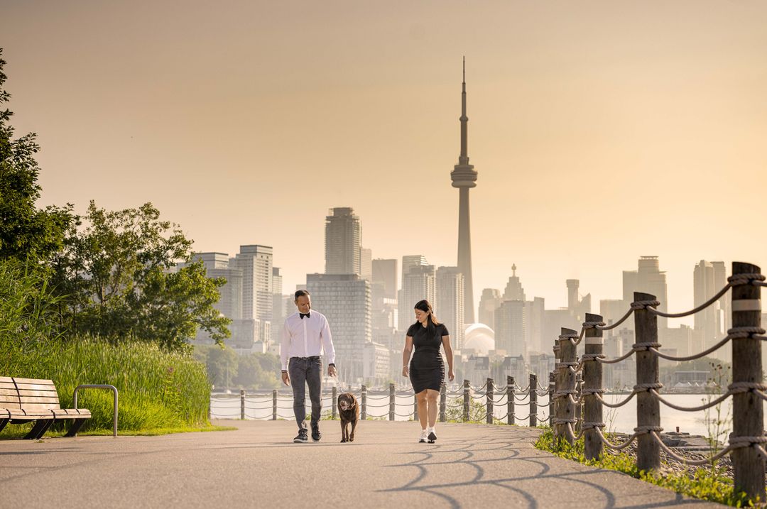 Private Dog Walks vs Group Walks: Which Is Best for Your Dog?