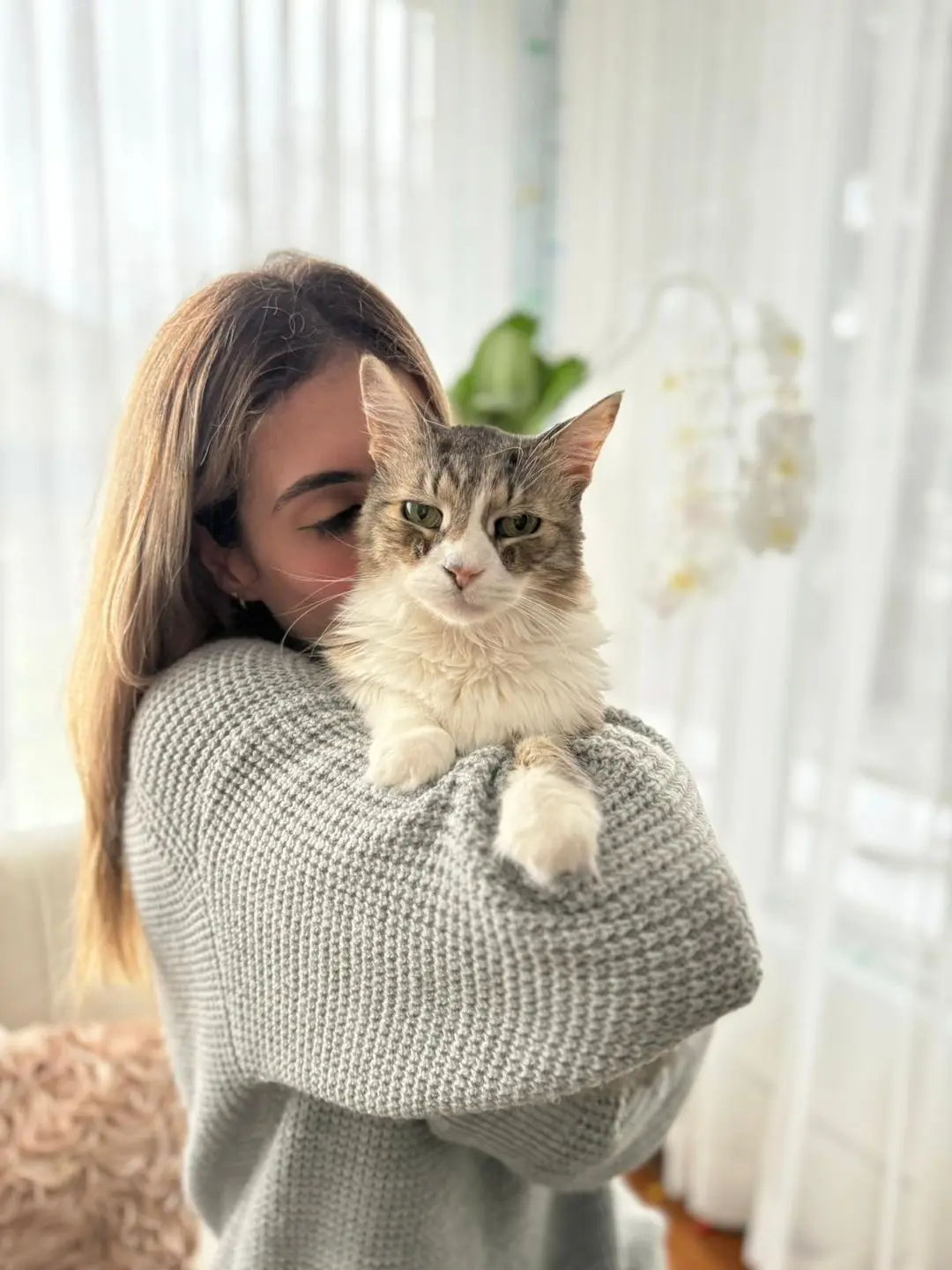 Welcome to Pawsome — Your Cat Concierge