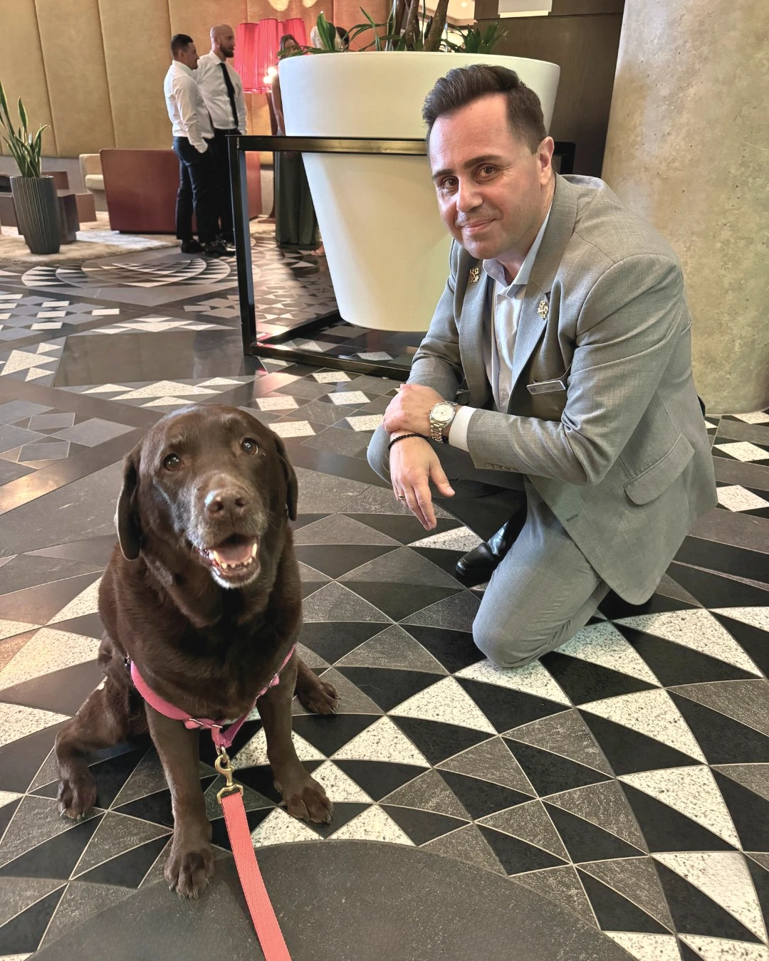 Verified Pet-Friendly Hotels in Canada (Montreal • Toronto • Vancouver)