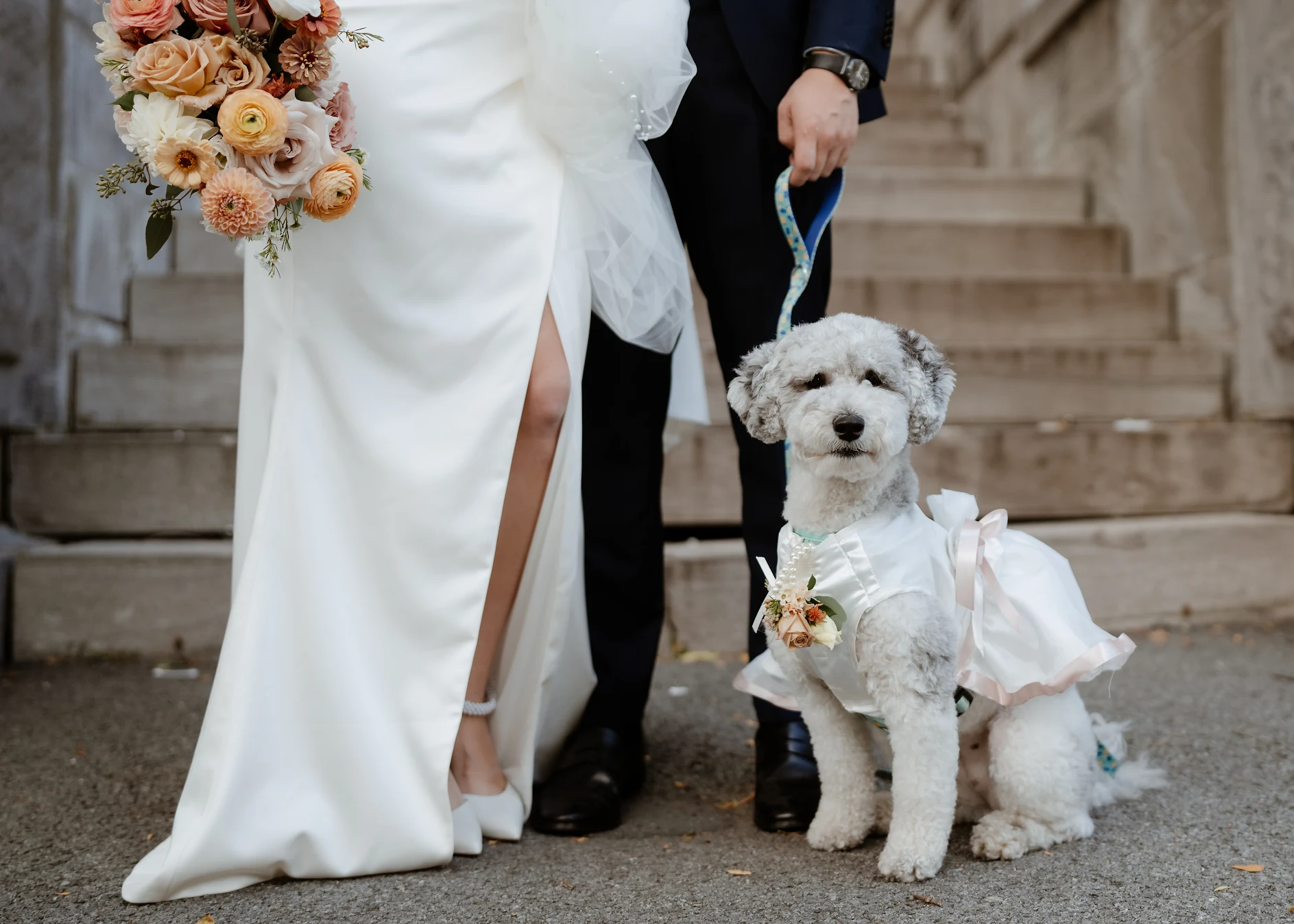 How to Make Your Wedding Day Paw-Sitively Perfect