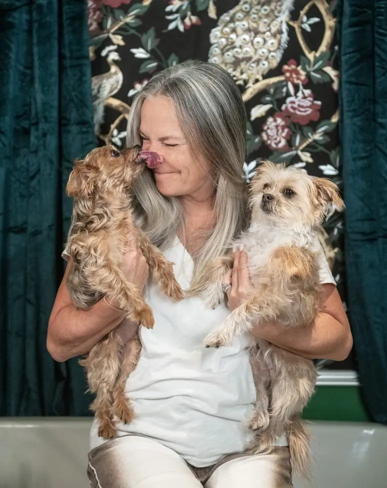 Woman holding two dogs being licked by one